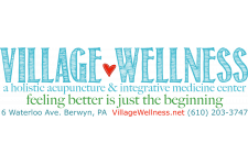 Logo for Village Wellness Logo for Village Wellness